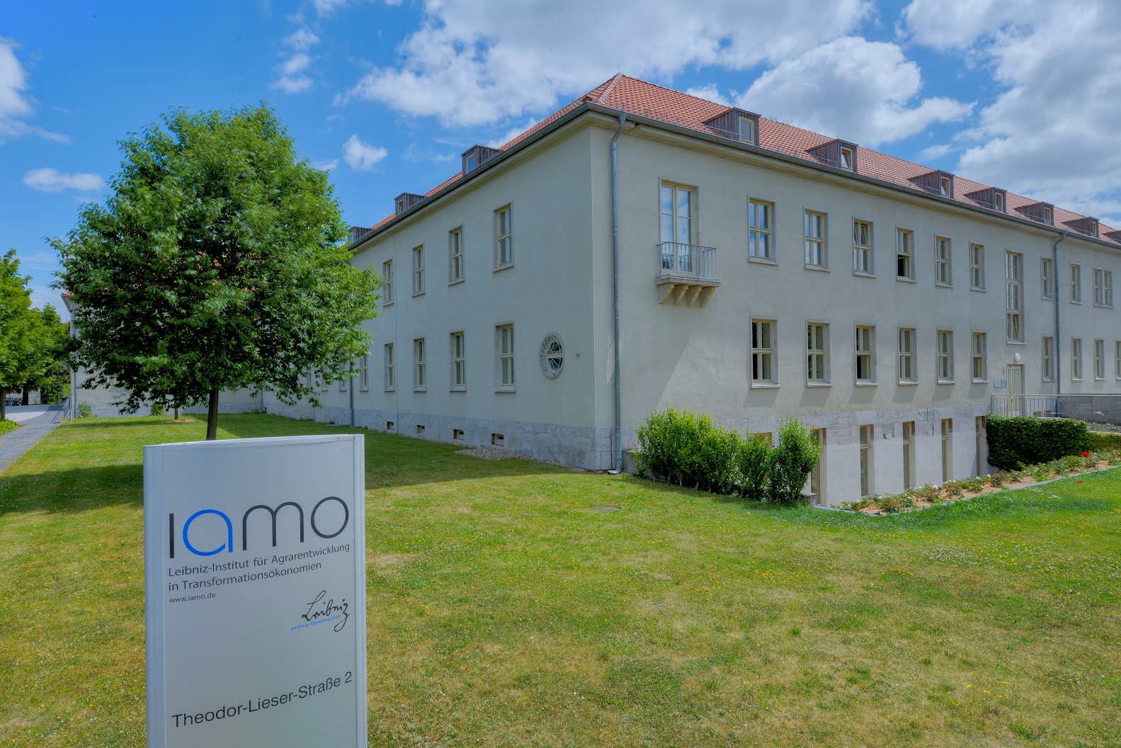 Halle is waiting for the MIND STEP team!