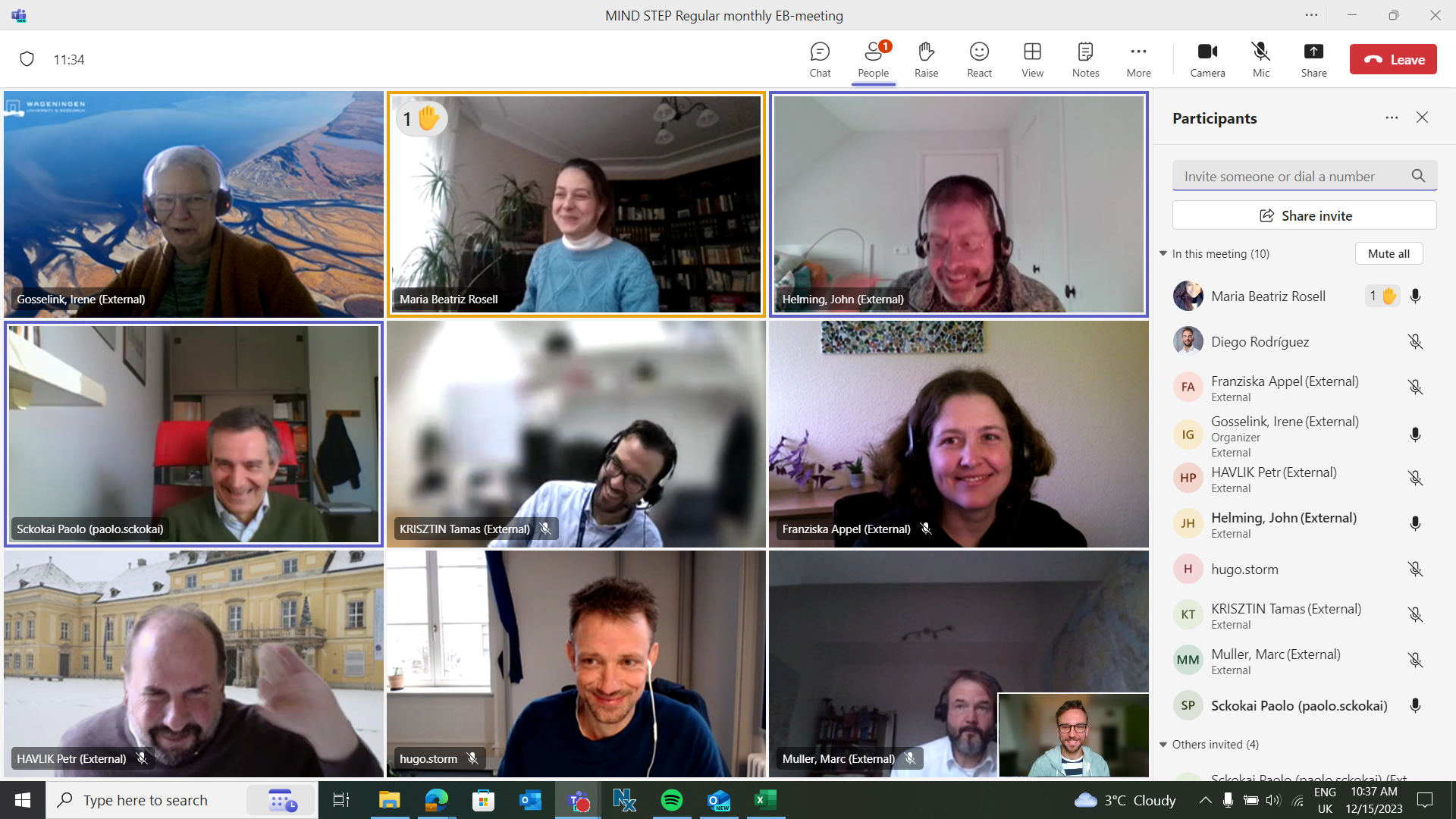 The last regular MIND STEP project meeting 