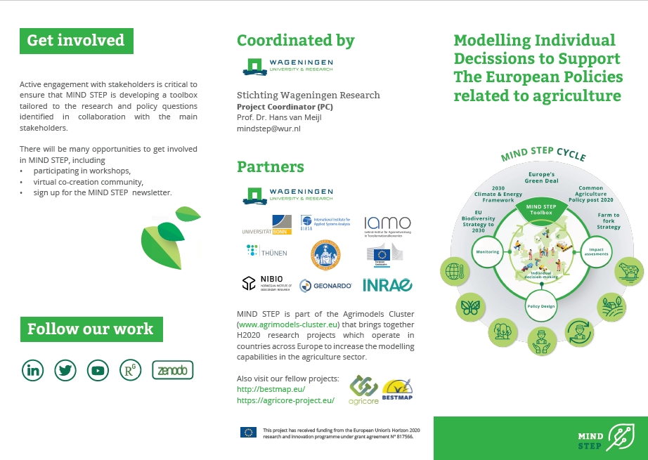 MIND STEP project flyer is out