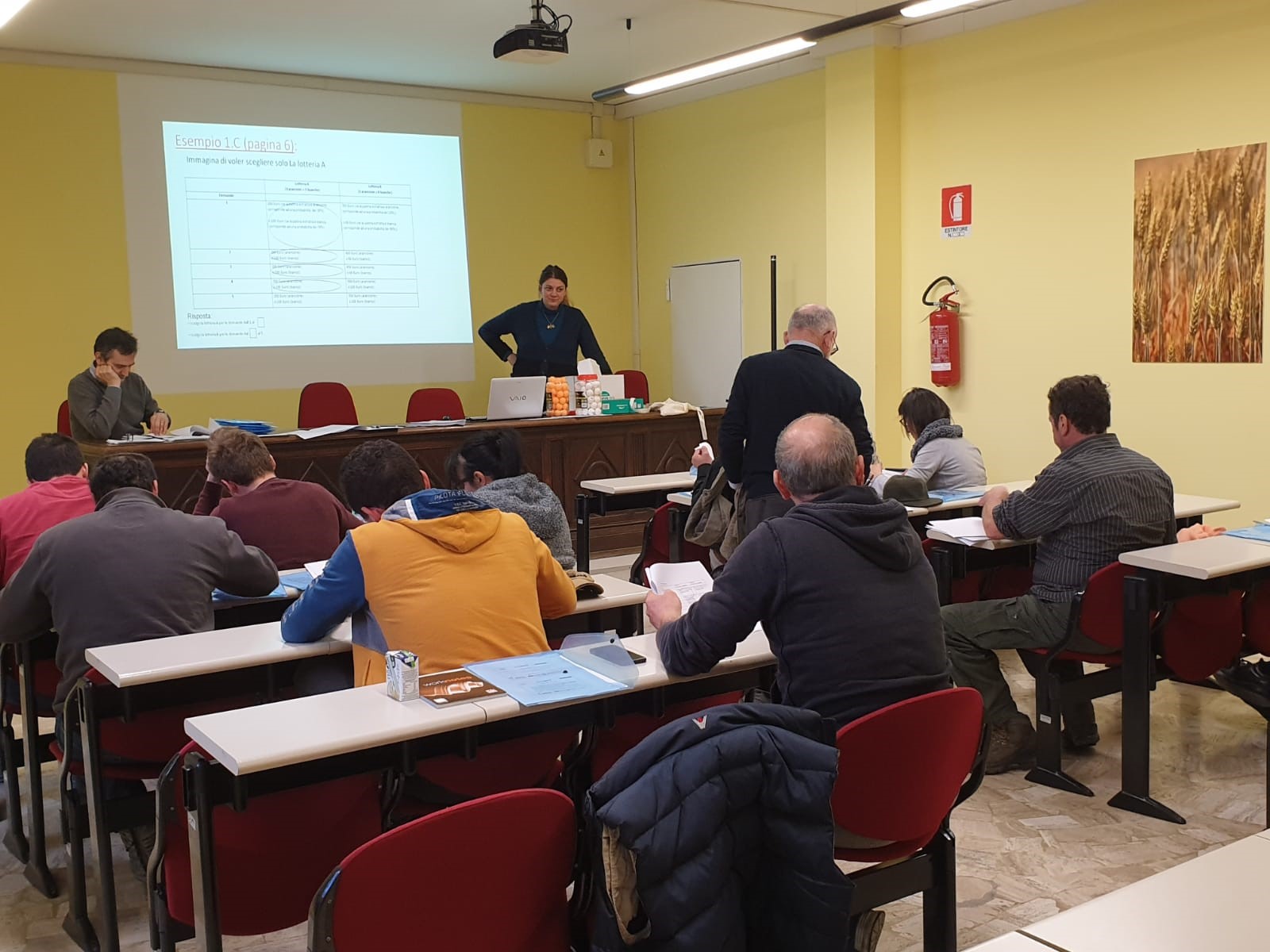 Testing protocol of evaluating farmers' risk preferences in MIND STEP