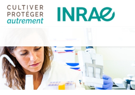 INRAE Webinars: Crop Protection and Scenarios for the Future of Agriculture