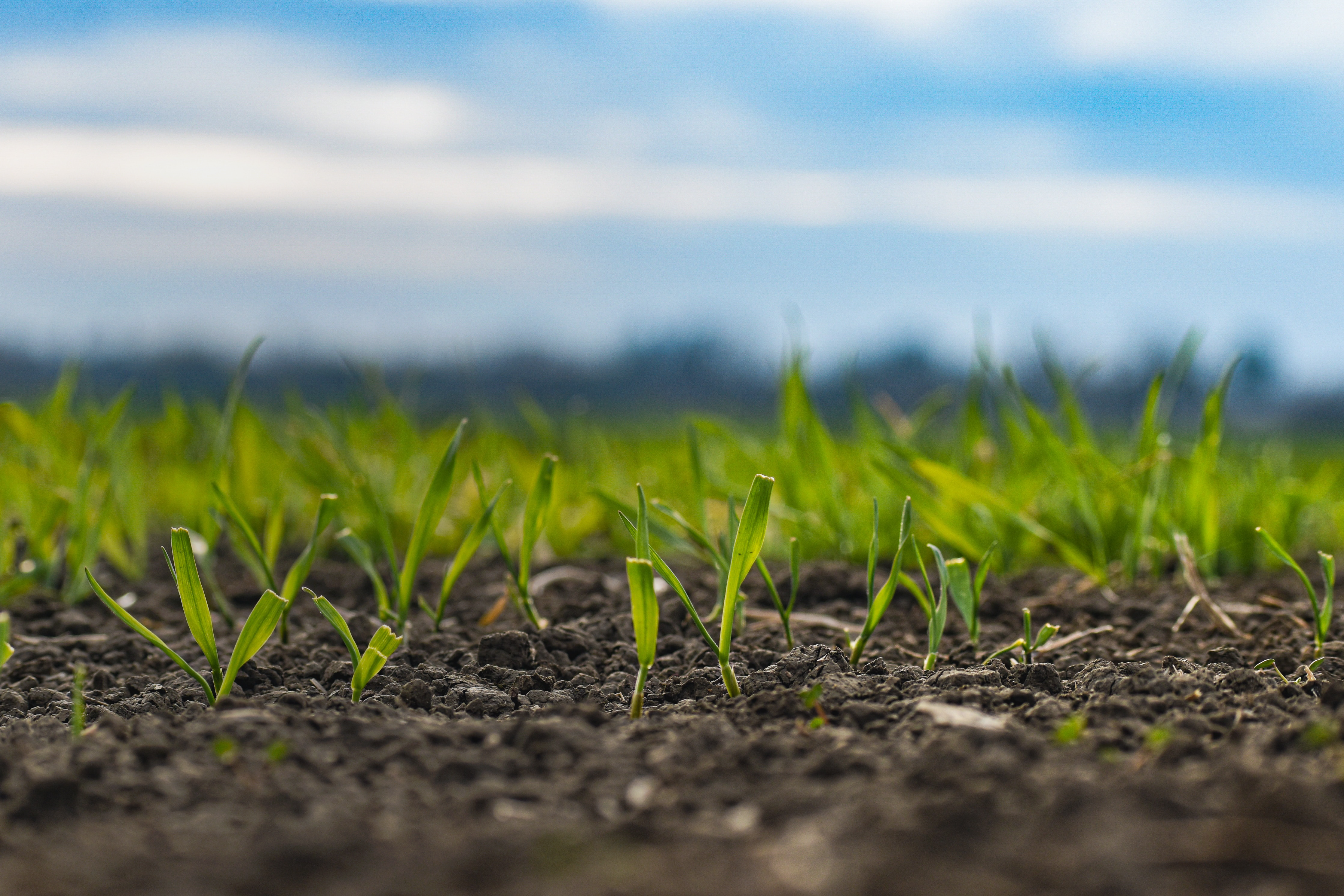 Supporting public decision making in agricultural, rural, environmental and climate policies.